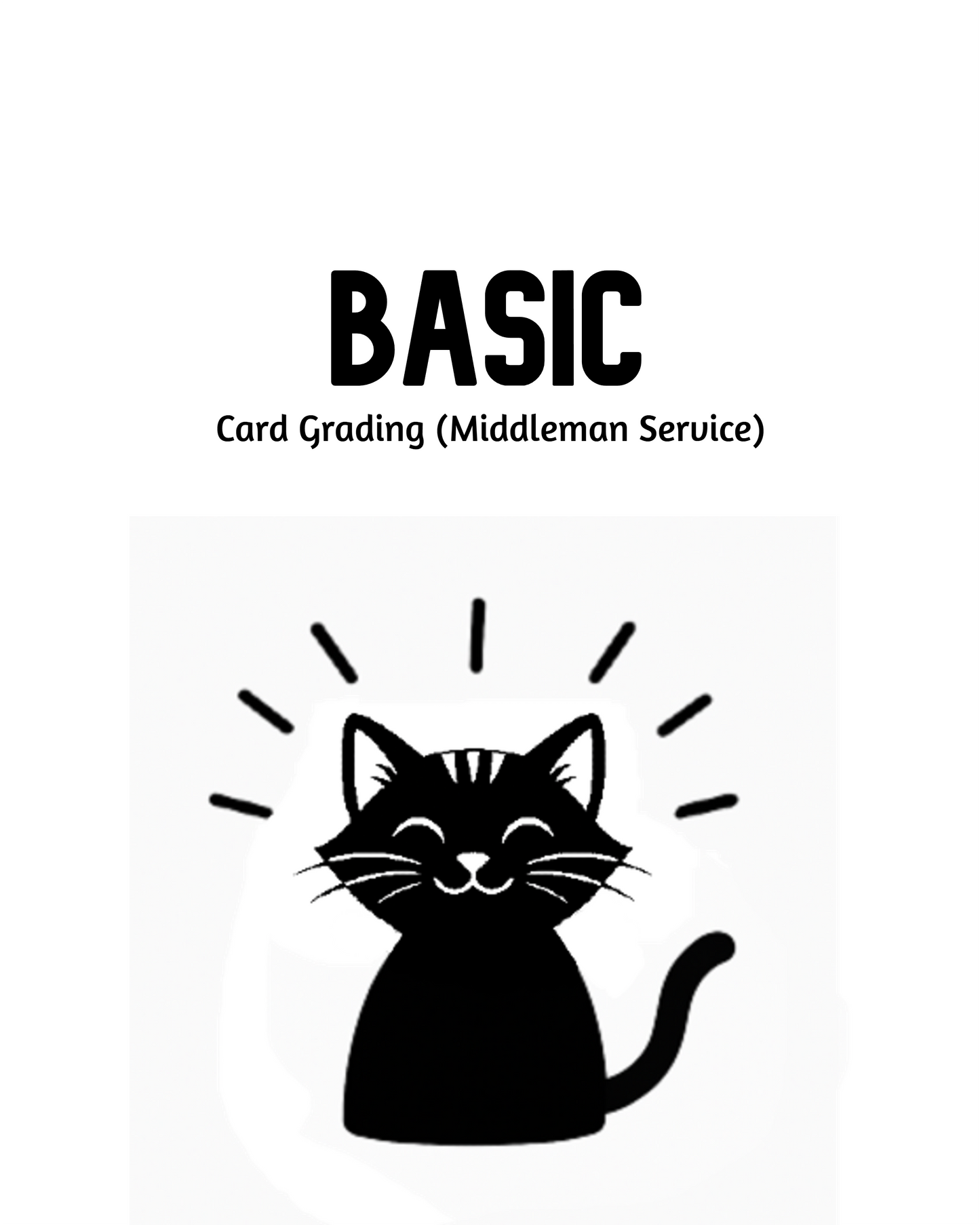 Ace Grading Basic Submission (Middleman Service)