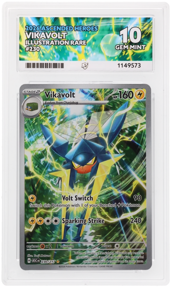 ACE 10 Vikavolt 230/217