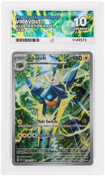 ACE 10 Vikavolt 230/217
